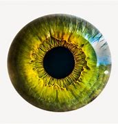 Image result for The Eye Iridology Reading Chart