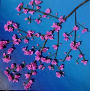 Image result for Cherry Blossom Art Project