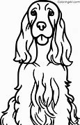 Image result for Cocker Spaniel Dog Coloring Pages