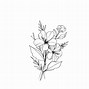 Image result for Hand Drawn Flower Bouquet