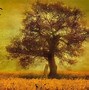 Image result for Abstract Tree Painting Wall Art