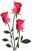 Image result for Free Clip Art Flowers Roses