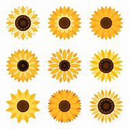 Image result for Sunflower Pattern Clip Art