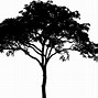 Image result for Silhouette of Trees