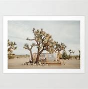 Image result for Joshua Tree National Park Art