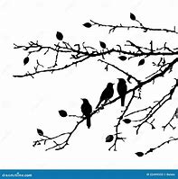 Image result for Birds On Branches