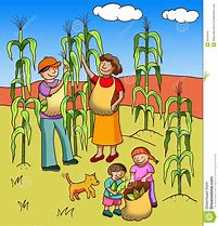 Image result for Vegetable Farm Clip Art