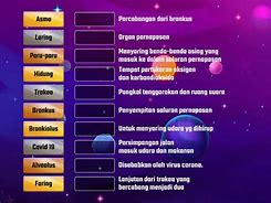 Image result for Gambar Alat Pernapasan Manusia