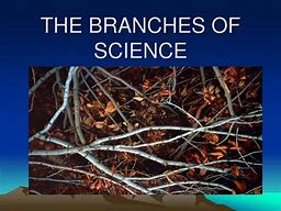 Image result for Branches of Science 18