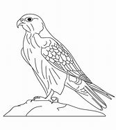 Image result for Falcon Flying Coloring Pages