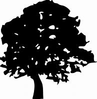 Image result for Maple Tree Silhouette Vector