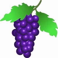 Image result for Happy Grapes Clip Art