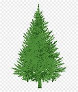 Image result for Evergreen Tree Clip Art Forest Lightburn