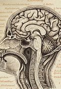 Image result for Mental Health Brain Poster