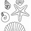 Image result for Beach Shells Coloring Pages