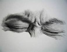 Image result for How to Draw Realistic Easy