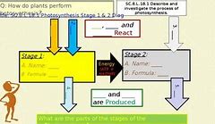 Image result for Dark Reaction Photosynthesis PPT