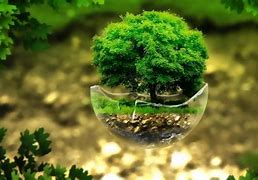 Image result for Tree-Planting Background HD