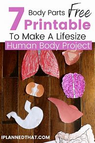 Image result for Free Printable Human Body Diagram