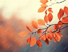 Image result for Tree Leaves Silhouette