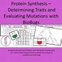 Image result for Dehydration Synthesis Equation