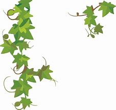 Image result for Clip Art True Vine Ivy