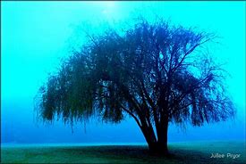 Image result for Willow Tree Stencil