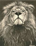 Image result for Alpha Lion Drawing