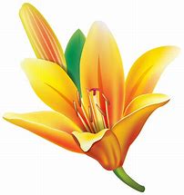 Image result for Yellow Lily Flower Clip Art