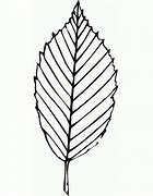 Image result for Coloring Picture of Leaf