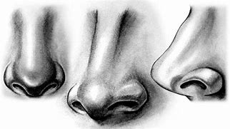 Image result for Sketch's Lips Nose