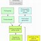 Image result for Government Contract Process Flowchart