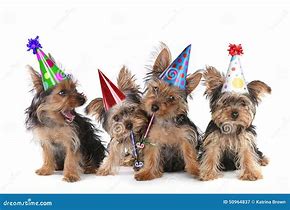 Image result for Happy Birthday Dog Coloring Pages