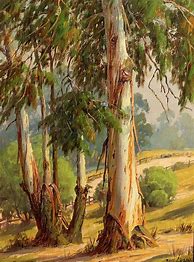 Image result for Eucalyptus Tree Painting