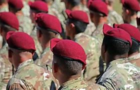 Image result for Green Beret Soldier