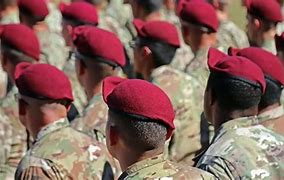 Image result for Oda Green Beret