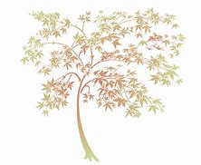 Image result for Japanese Maple Leaf Stencil