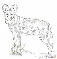 Image result for Wild Dog Coloring Pages