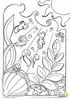 Image result for Underwater Animals Coloring Pages