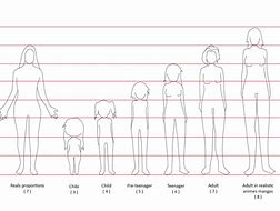 Image result for Proportions Anime Pintrest