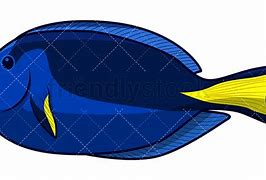 Image result for Blue Tang Fish Clip Art