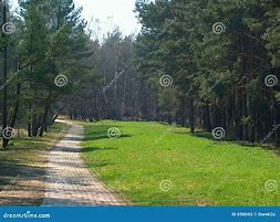 Image result for Wooden Foot Path