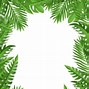 Image result for Leaf PNG 4K