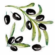 Image result for Olive Branch On Black Background