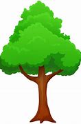 Image result for Green Tree Drawing