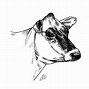 Image result for Cow Drawing for Kids