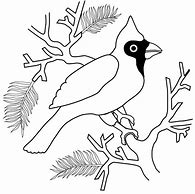 Image result for Ohio Cardinal Coloring Page