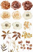 Image result for Brown Flowers Clip Art Free