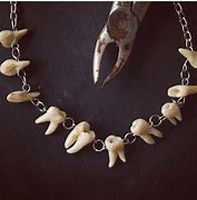 Image result for Human Tooth Necklace