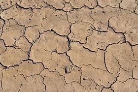 Image result for Soil